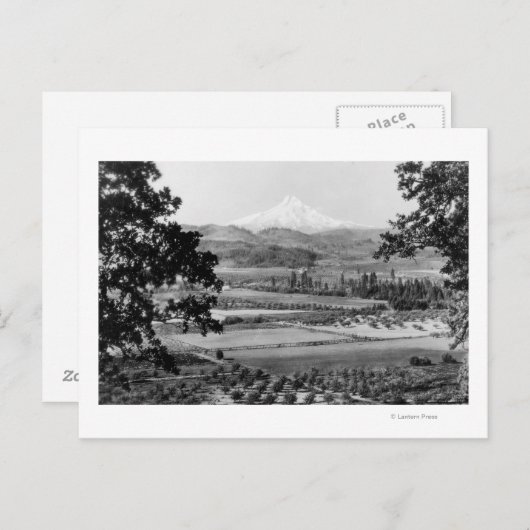 Carte Postale Mt. Hood de la vallée de la rivière Hood Photo (Devant / Derrière)