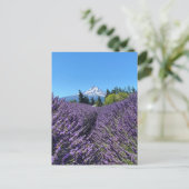 Carte Postale Mt Hood Oregon (Debout devant)