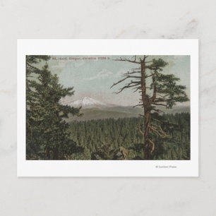 Carte Postale Mt Hood, Oregon - Vue de la montagne depuis Distan