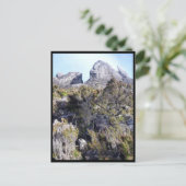 Carte Postale mt kinabalu plantes (Debout devant)