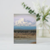 Carte Postale Mt. McKinley (Debout devant)