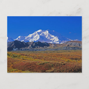 Carte Postale Mt. Parc national McKinley Denali, Alaska.