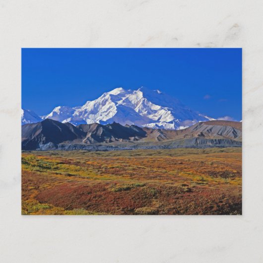 Carte Postale Mt. Parc national McKinley Denali, Alaska. (Devant)