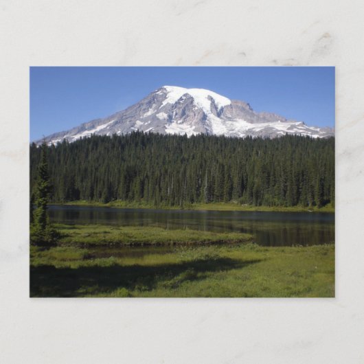 Carte Postale Mt. Rainer (Devant)