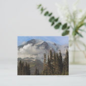 Carte Postale Mt Rainier (Debout devant)