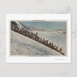 Carte Postale Mt. Rainier, WA - Ligne des gens qui dorment dans