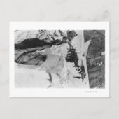 Carte Postale Mt Rainier, WA Nisqually Glacier Climbers (Devant)