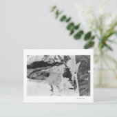 Carte Postale Mt Rainier, WA Nisqually Glacier Climbers (Debout devant)