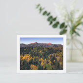 Carte Postale "Mt. Sneffel - Dallas Divide Road" (Debout devant)