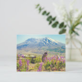 Carte Postale Mt. St. Helens (Debout devant)