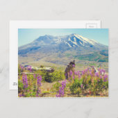 Carte Postale Mt. St. Helens (Devant / Derrière)