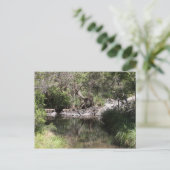 Carte Postale Mt Tamborine #3 (Debout devant)