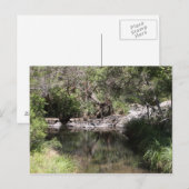 Carte Postale Mt Tamborine #3 (Devant / Derrière)