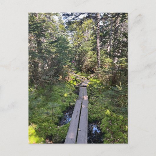 Carte postale Mt. Tom New Hampshire (Devant)