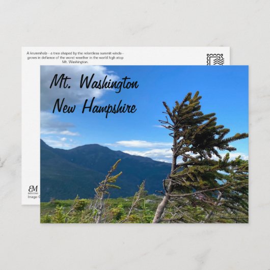 Carte Postale Mt. Washington, NH Postcard (Devant / Derrière)