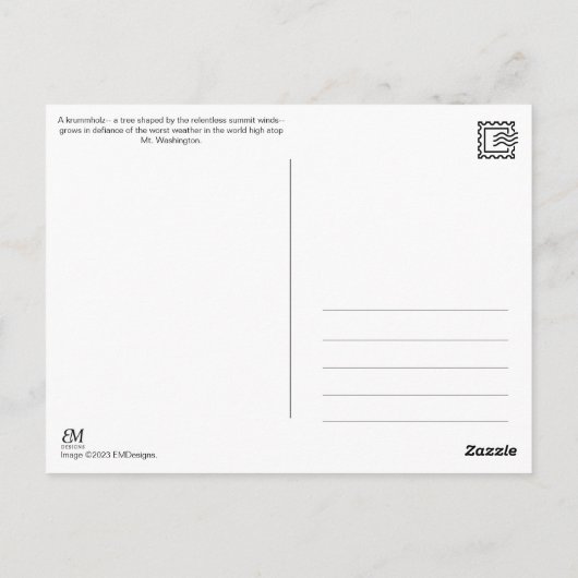 Carte Postale Mt. Washington, NH Postcard (Dos)