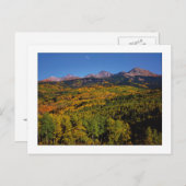 Carte Postale "Mt Wilson - Aspen Tree Valley" (Devant / Derrière)