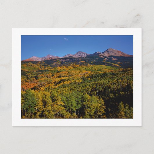 Carte Postale "Mt Wilson - Aspen Tree Valley" (Devant)