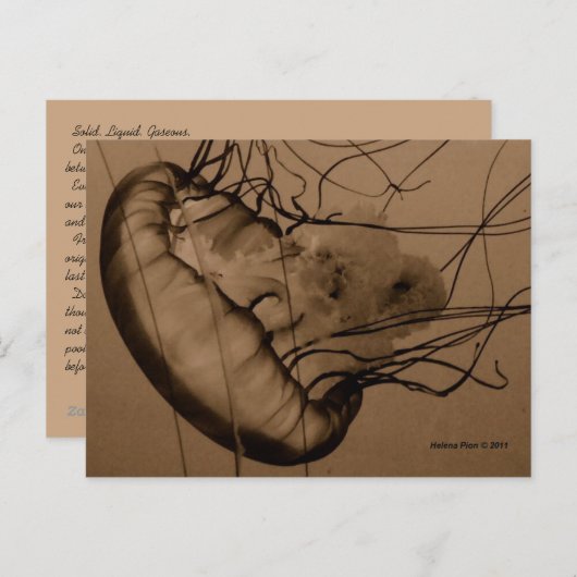 CARTE POSTALE MTV 3 (Devant / Derrière)