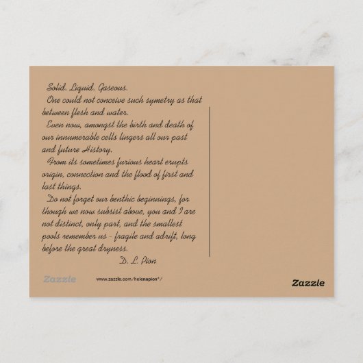 CARTE POSTALE MTV 3 (Dos)