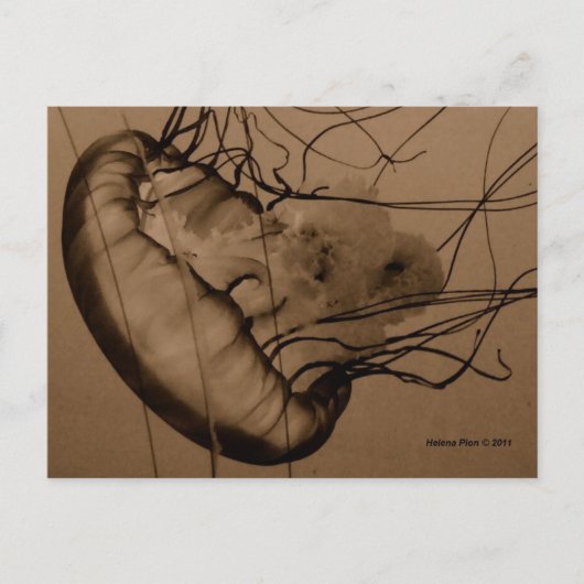 CARTE POSTALE MTV 3 (Devant)