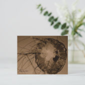 CARTE POSTALE MTV 4 (Debout devant)