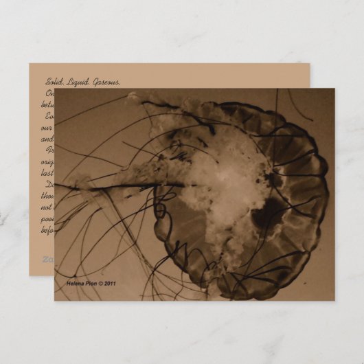 CARTE POSTALE MTV 4 (Devant / Derrière)