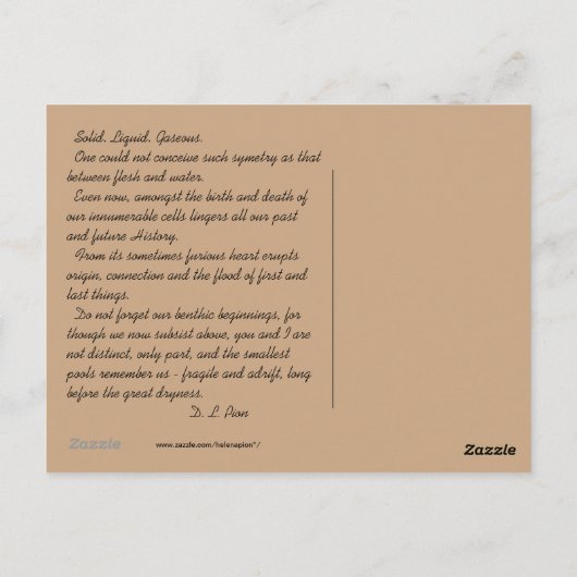 CARTE POSTALE MTV 4 (Dos)