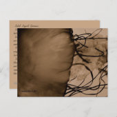 CARTE POSTALE MTV 5 (Devant / Derrière)