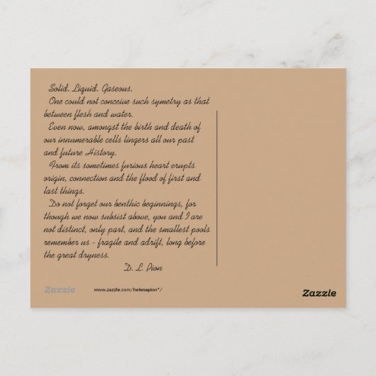 CARTE POSTALE MTV 8 (Dos)