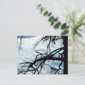 CARTE POSTALE MTV 9 (Debout devant)