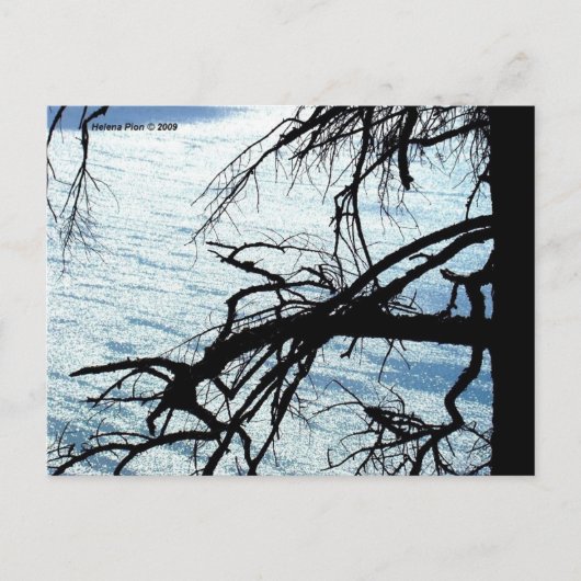 CARTE POSTALE MTV 9 (Devant)