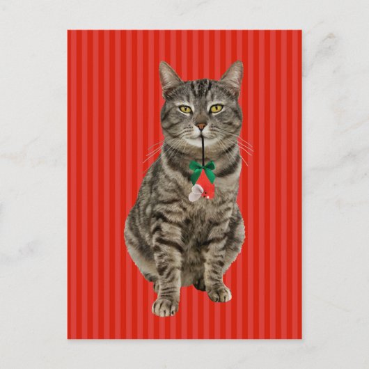 Carte postale "Muffin Digs Christmas" (Devant)