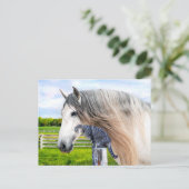 Carte Postale "Muffin & Saraband" (Debout devant)