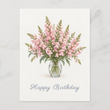 Muflier Rose Tendre Anniversaire