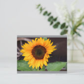 Carte Postale Mug bicolore, 45 cl (Debout devant)