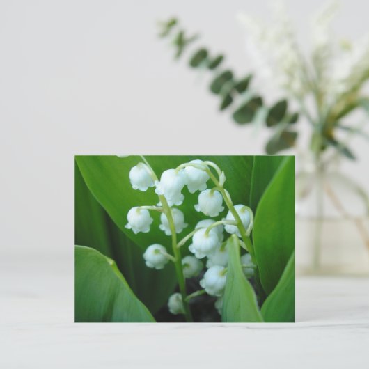 Carte Postale Muguet (Debout devant)