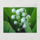 Carte Postale Muguet (Devant)