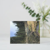 Carte Postale Muir Creek, Oregon (Debout devant)