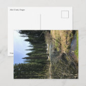 Carte Postale Muir Creek, Oregon (Devant / Derrière)