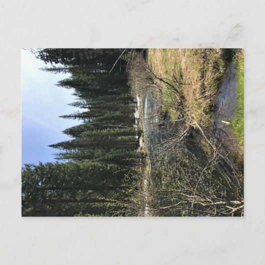 Carte Postale Muir Creek, Oregon (Devant)