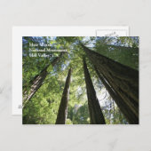 Carte postale Muir Woods (Devant / Derrière)