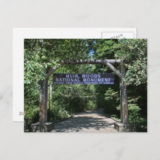 Carte postale Muir Woods (Devant / Derrière)