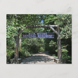 Carte postale Muir Woods