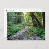 Carte postale Muir Woods (Devant / Derrière)