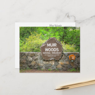 Carte Postale Muir Woods National Monument – California Redwood