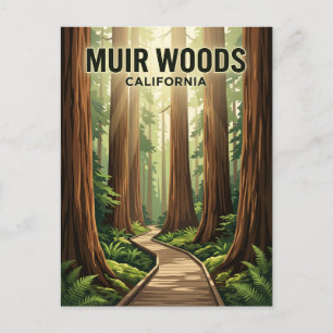 Carte Postale Muir Woods National Monument Californie
