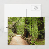 Carte Postale Muir Woods Path II Nature Photography (Devant / Derrière)