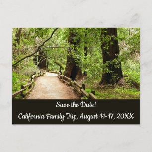 Carte Postale Muir Woods Path II Nature Sauver la date