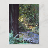 Carte Postale Muir Woods Stream (Devant)